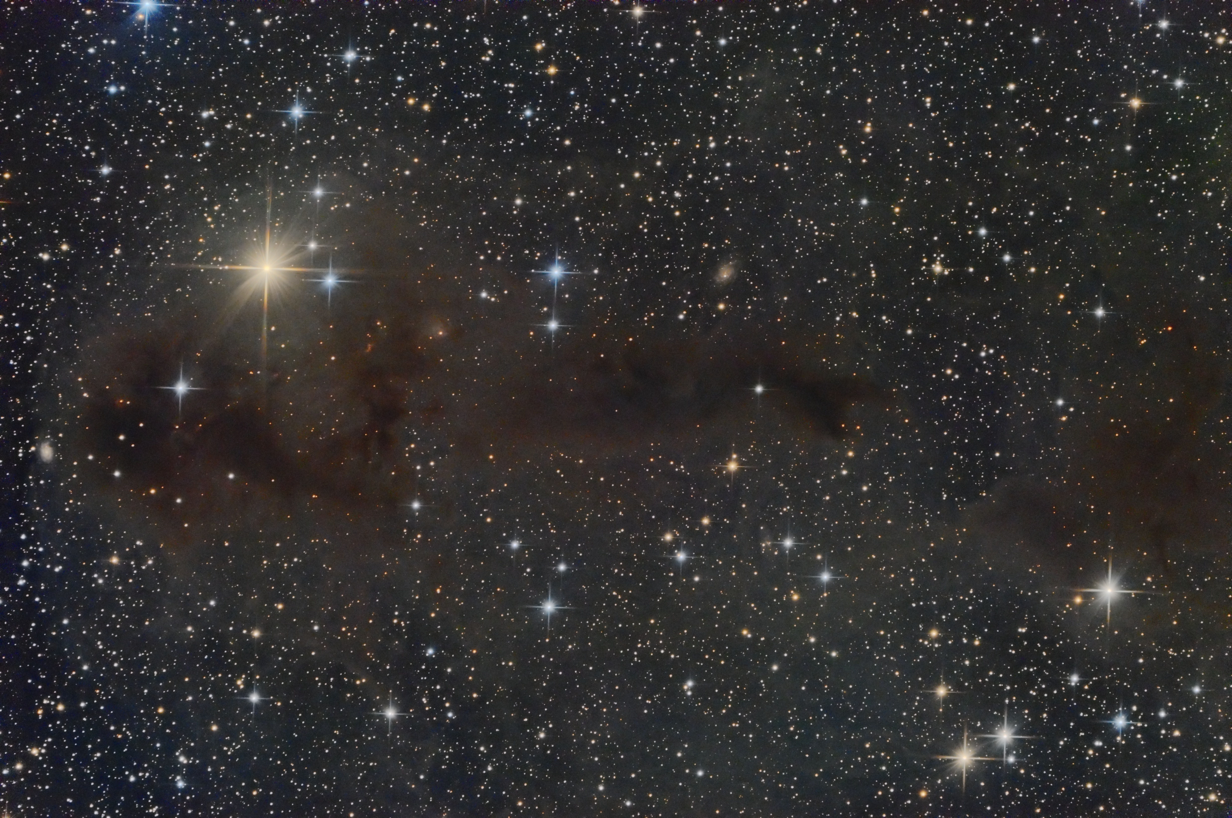 LDN1251 - Angler Fish Nebula: Dark Nebula in Cepheus