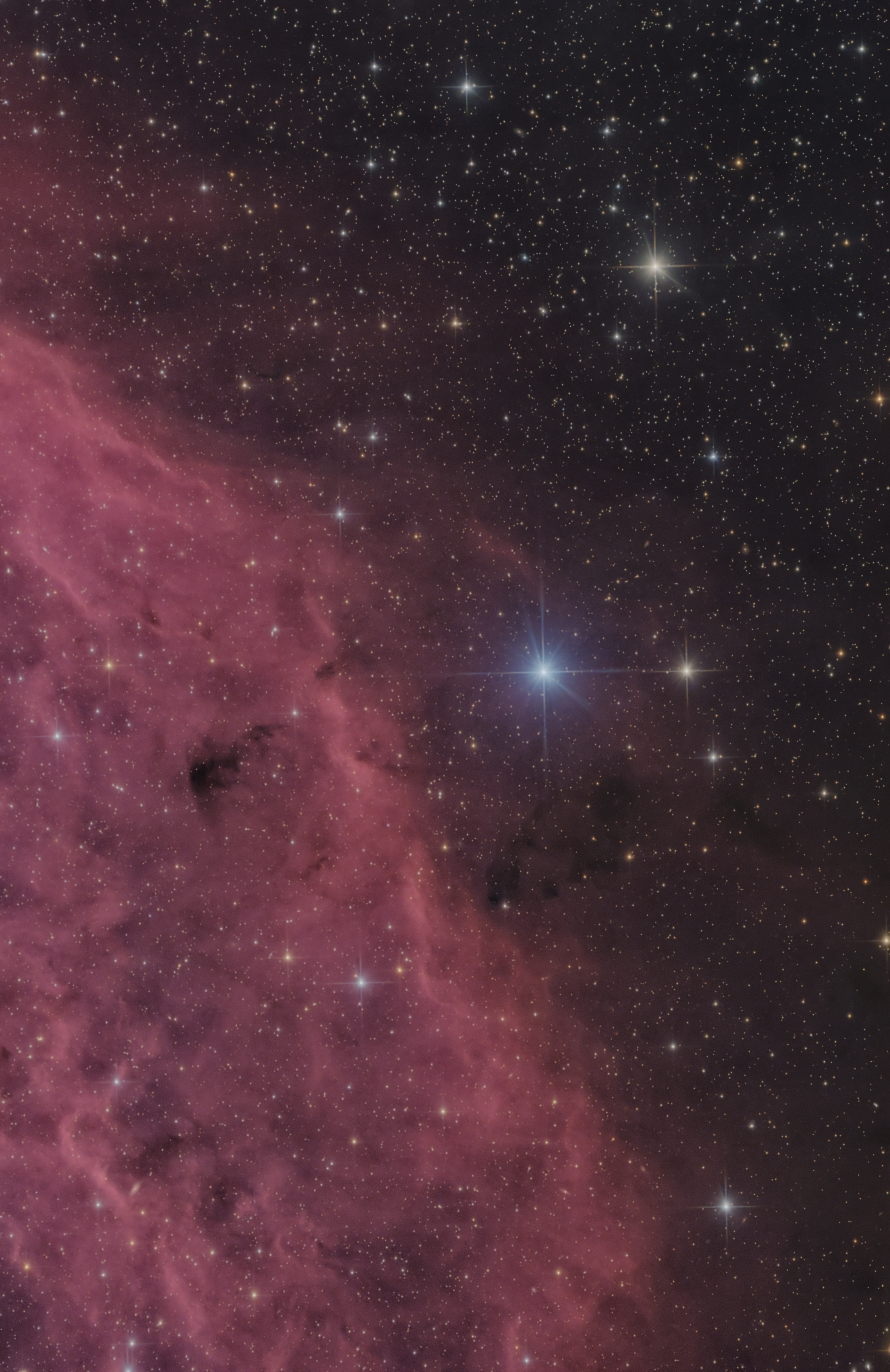 LDN1462,LDN1463,LDN1464,LDN1469 - Dark Nebulas around The California Nebula 