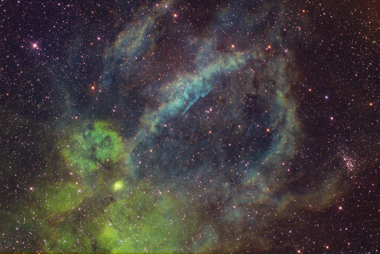 Lobster Claw in Cepheus QuickSHO jpg