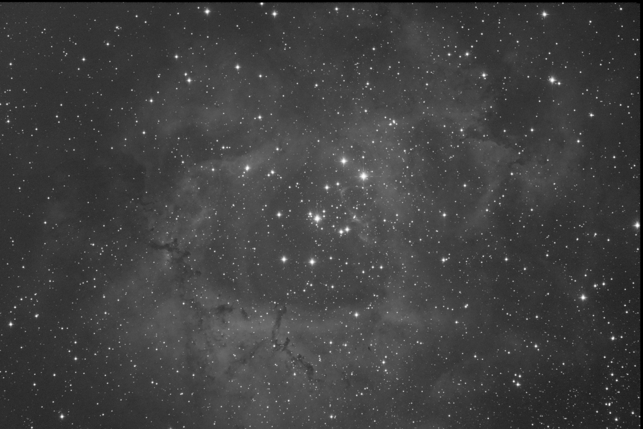 Rosette Nebula - B