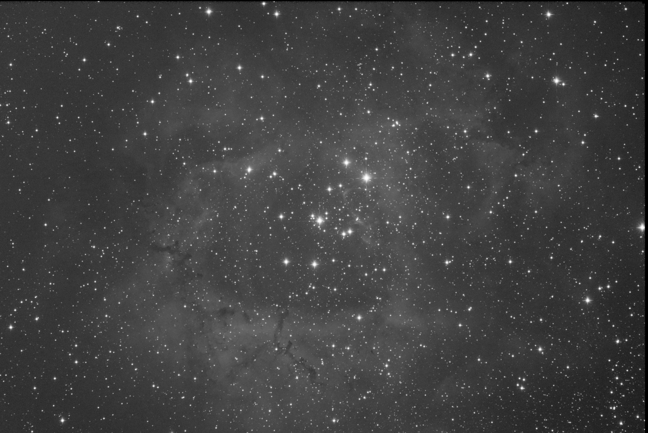 Rosette Nebula - G