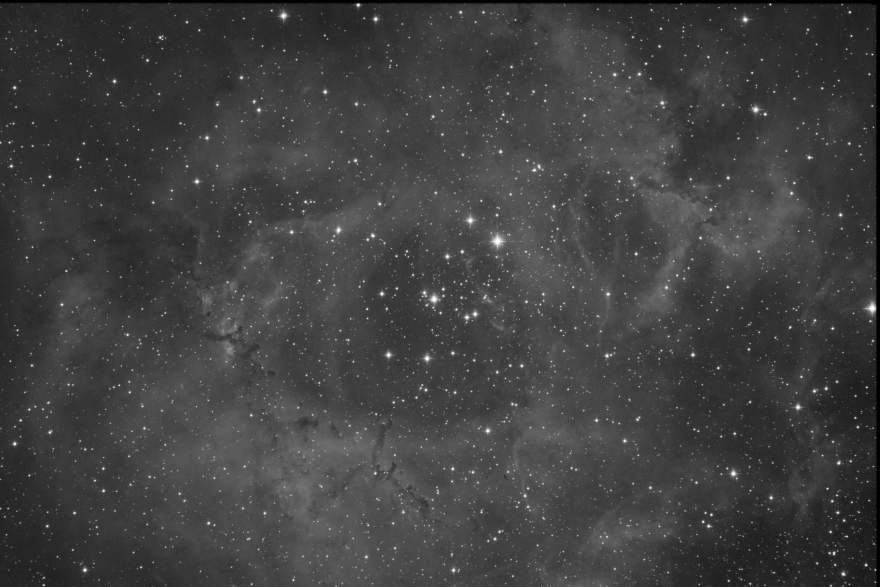 Rosette Nebula - R
