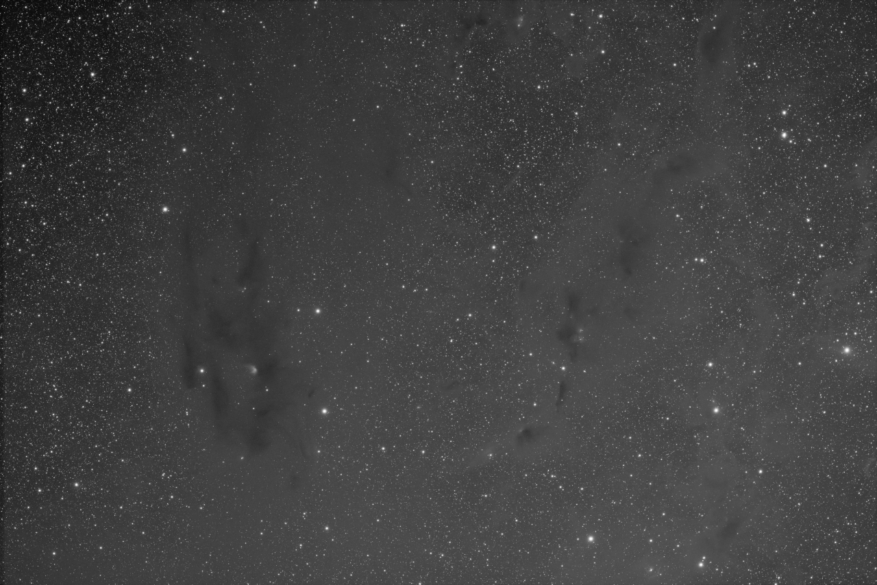 Barnard 22 - R
