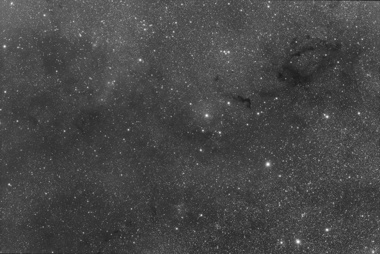 Cepheus Region with Barnard 169-174 - B