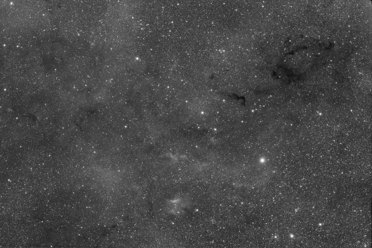 Cepheus Region with Barnard 169-174 - R