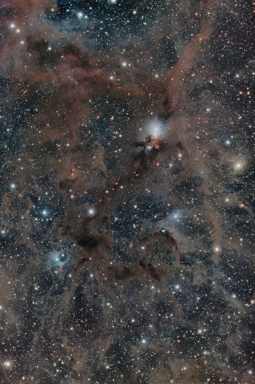 NGC 1333 Region LRGB L 292x180s R 98x180s G 122x180s B 146x180s SCC DeepSNR GHS LRGBCombo Curves ACDNR Crop Rot jpg