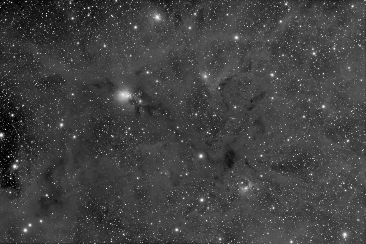 NGC 1333 Region - L