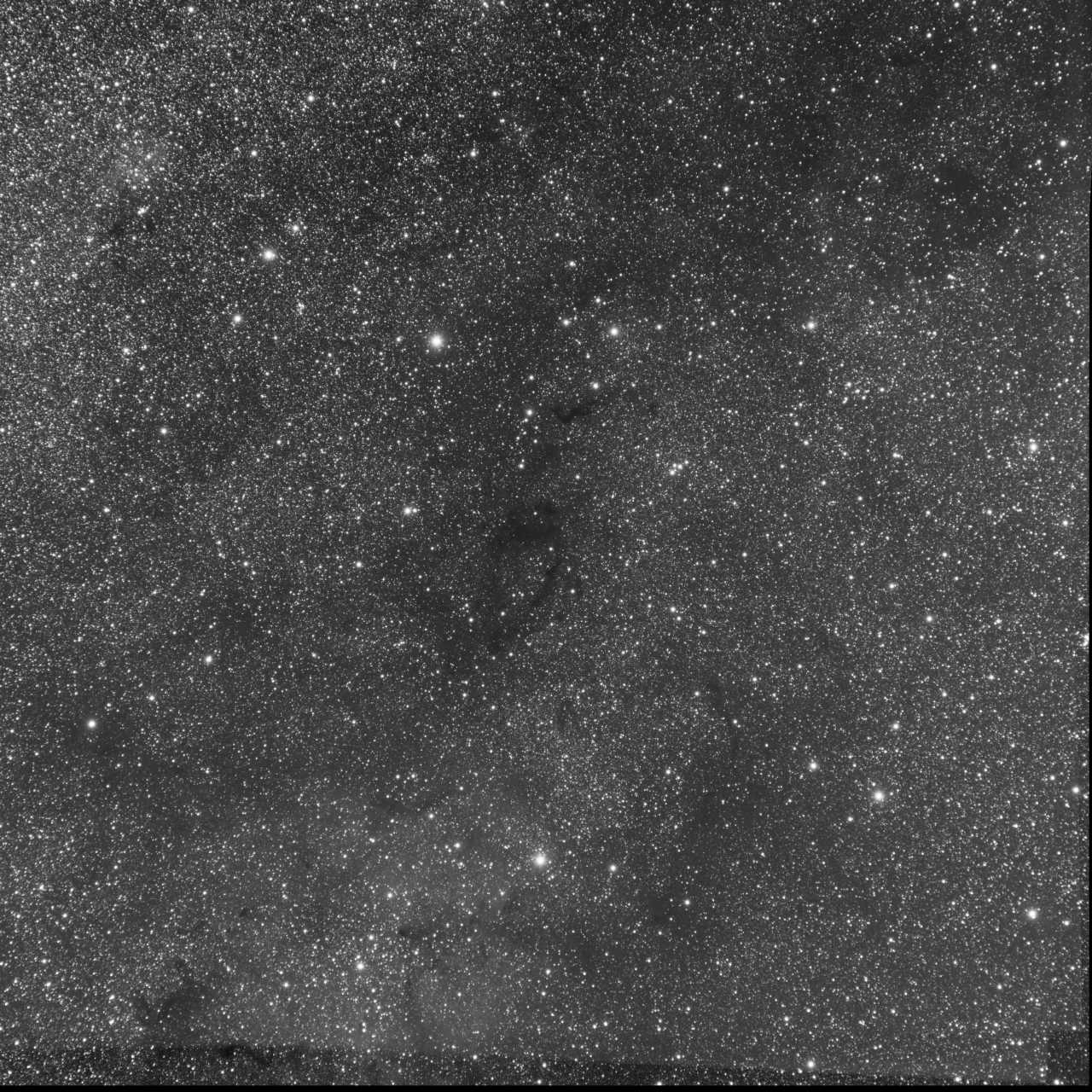Cepheus on Barnard 170 - L