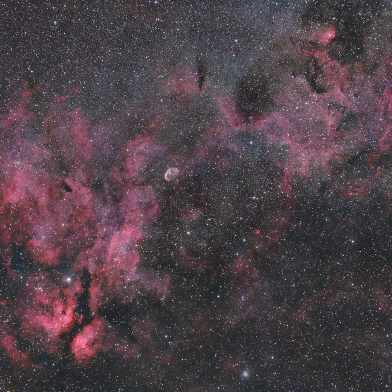 Crescent Oxygen River RGB R 18x180s G 18x180s B 28x180s Drizzled 2x DBE BlurXCrctOnly SCC StarlessProcessing MMTNR HT MMTShrp HTStars ReAddStars Crop jpg