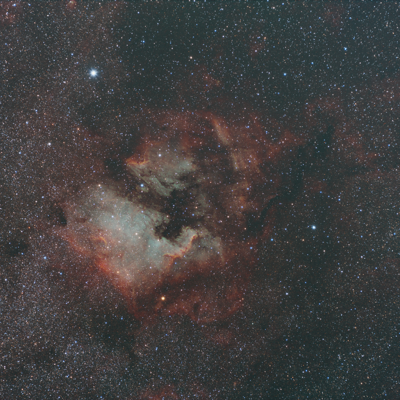 Cygnus Crack and NA Nebula Region SHORGB Sii 4x720s Ha 3x360s Oiii 15x360s R 17x360s G 15x360s B 10x360s QuickEdit jpg