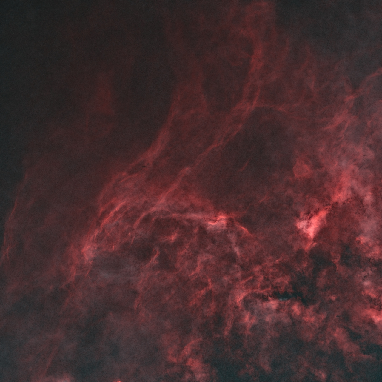 Cygnus near DWB111 HOO Ha 2x360s Ha 20x900s Oiii 8x720s ESD QuickEdit Starless jpg