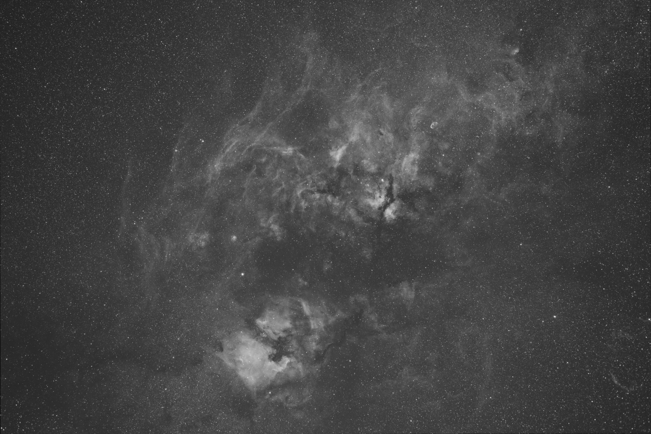 Cygnus on HD195405 - Ha6nmMaxFR