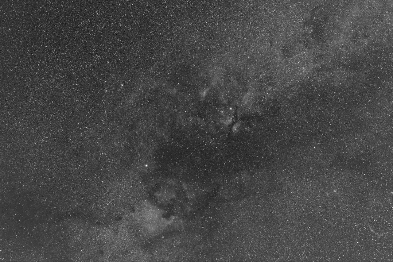 Cygnus on HD195405 - R