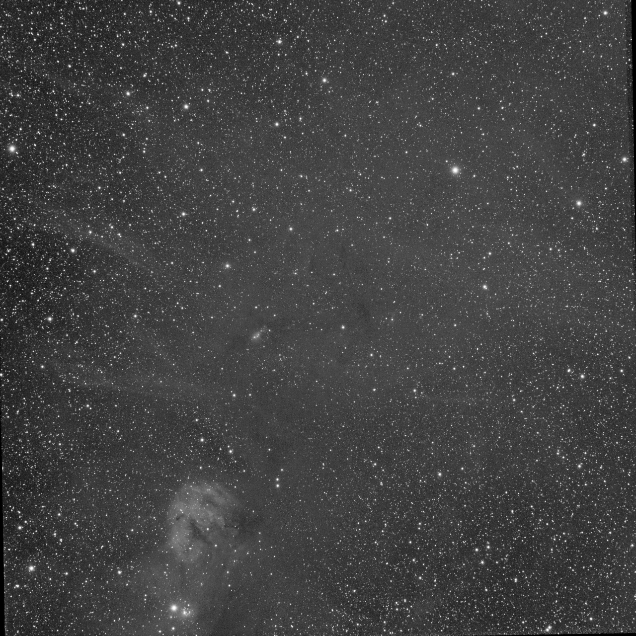 NGC1333 Region - Ha