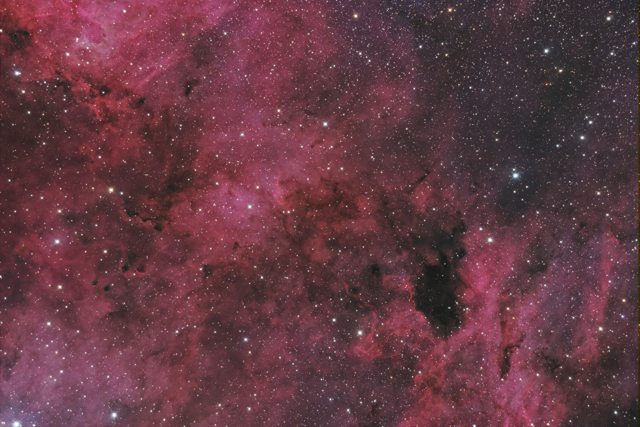 Barnard 343 Region in Cygnus R 30x360s G 41x360s B 34x360s SCC BlurXCO DeepSNR GHS Curves LHE ReAddStars Decon jpg