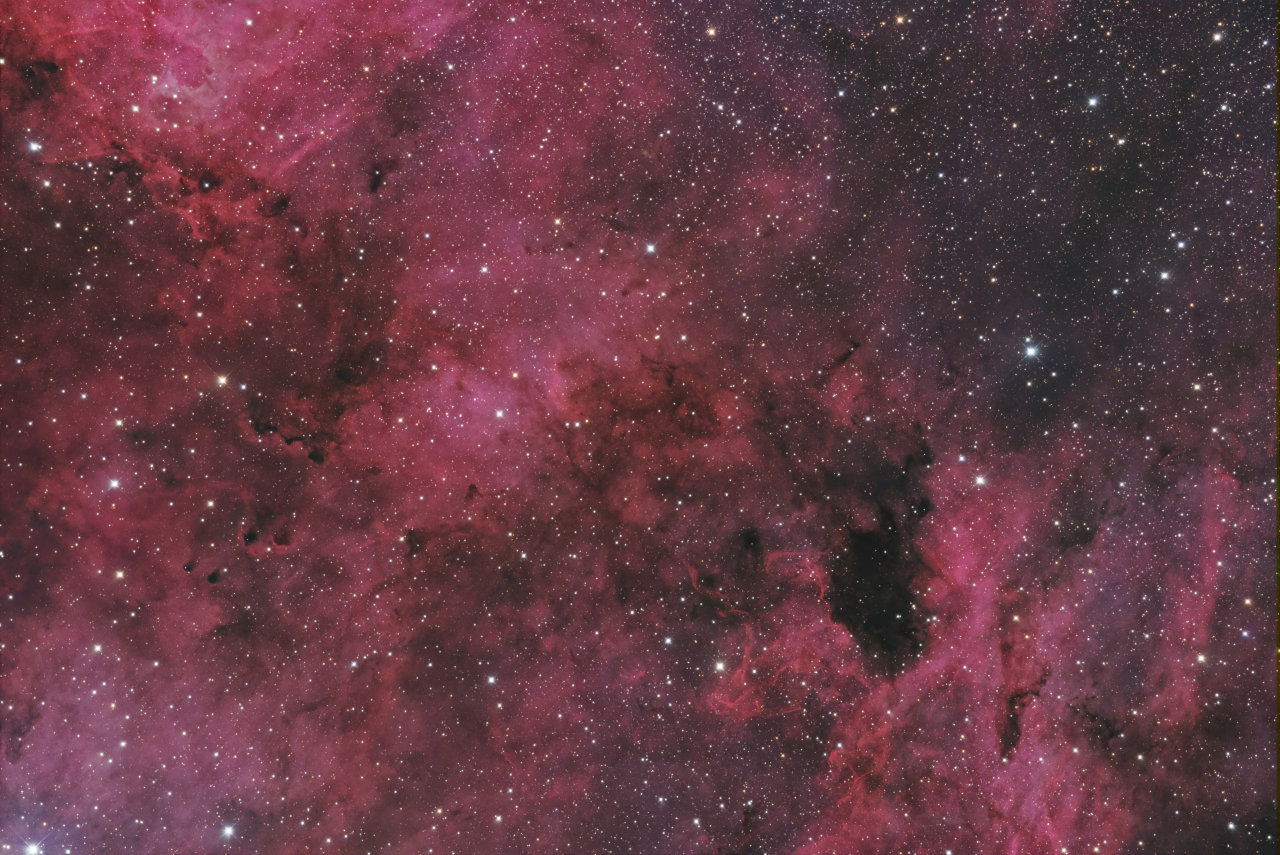 Barnard 343 Region in Cygnus R 30x360s G 41x360s B 34x360s SCC BlurXCO DeepSNR GHS Curves LHE ReAddStars jpg