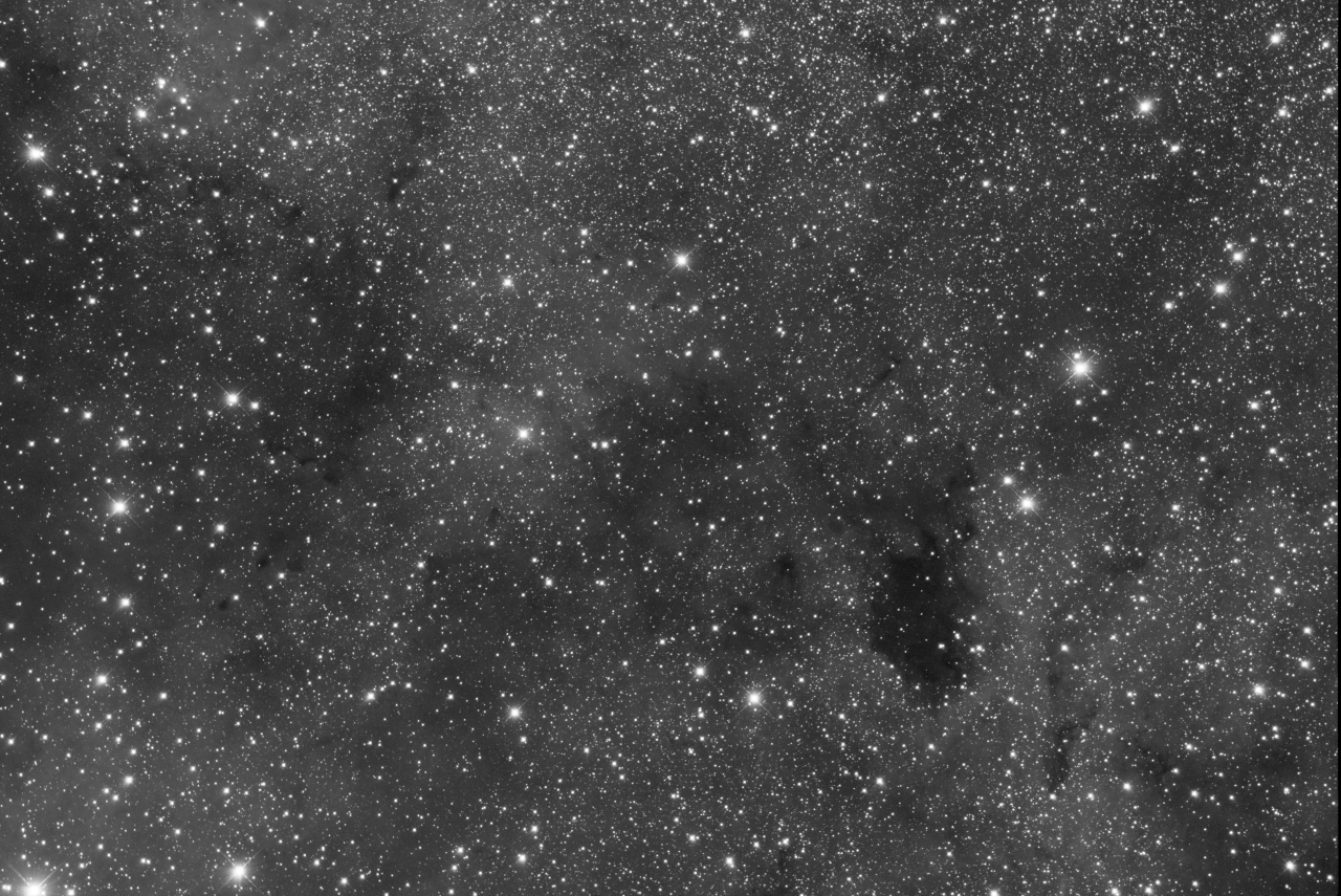 Barnard 343 Region in Cygnus - B