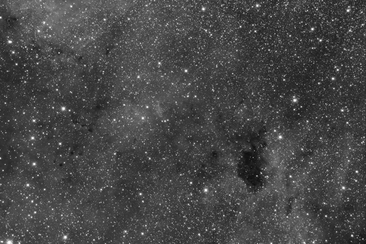 Barnard 343 Region in Cygnus - R