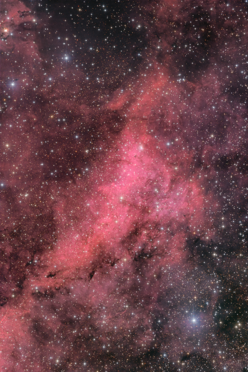 Dolphin Nebula in Cygnus LRGB R 11x180s R 27x720s G 5x180s G 30x720s B 4x180s B 25x720s L 12x180s L 51x360s SCC NoClipHT LRGBCombo ReverseHT ToneMap ReAddStars jpg