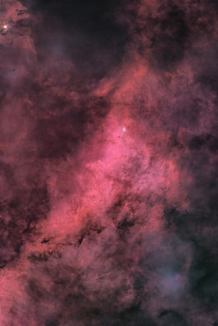 Dolphin Nebula in Cygnus LRGB R 11x180s R 27x720s G 5x180s G 30x720s B 4x180s B 25x720s L 12x180s L 51x360s SCC NoClipHT LRGBCombo ReverseHT ToneMap jpg