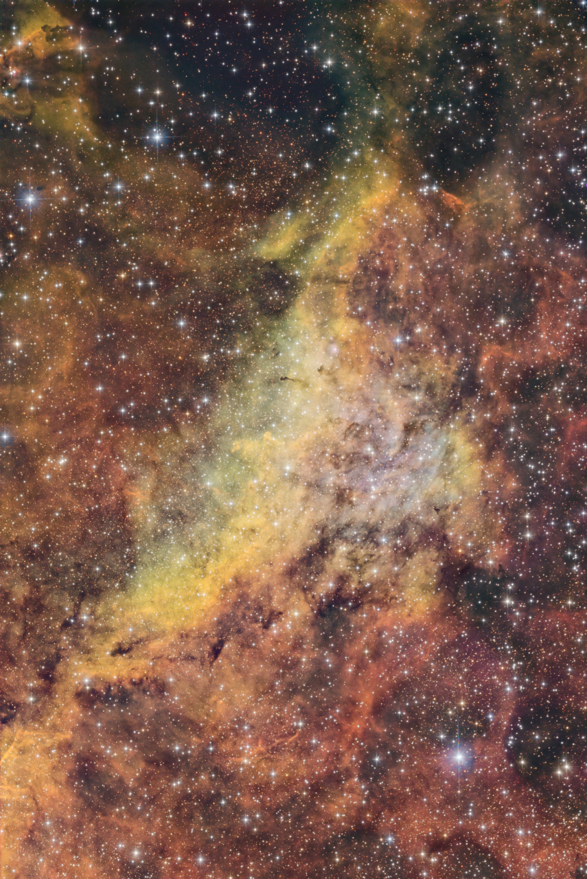 Dolphin Nebula in Cygnus SHO Sii3 78x360s Ha 22x360s Oiii 87x360s ESD ToneMap4b Rot90 AddRGBStars jpg