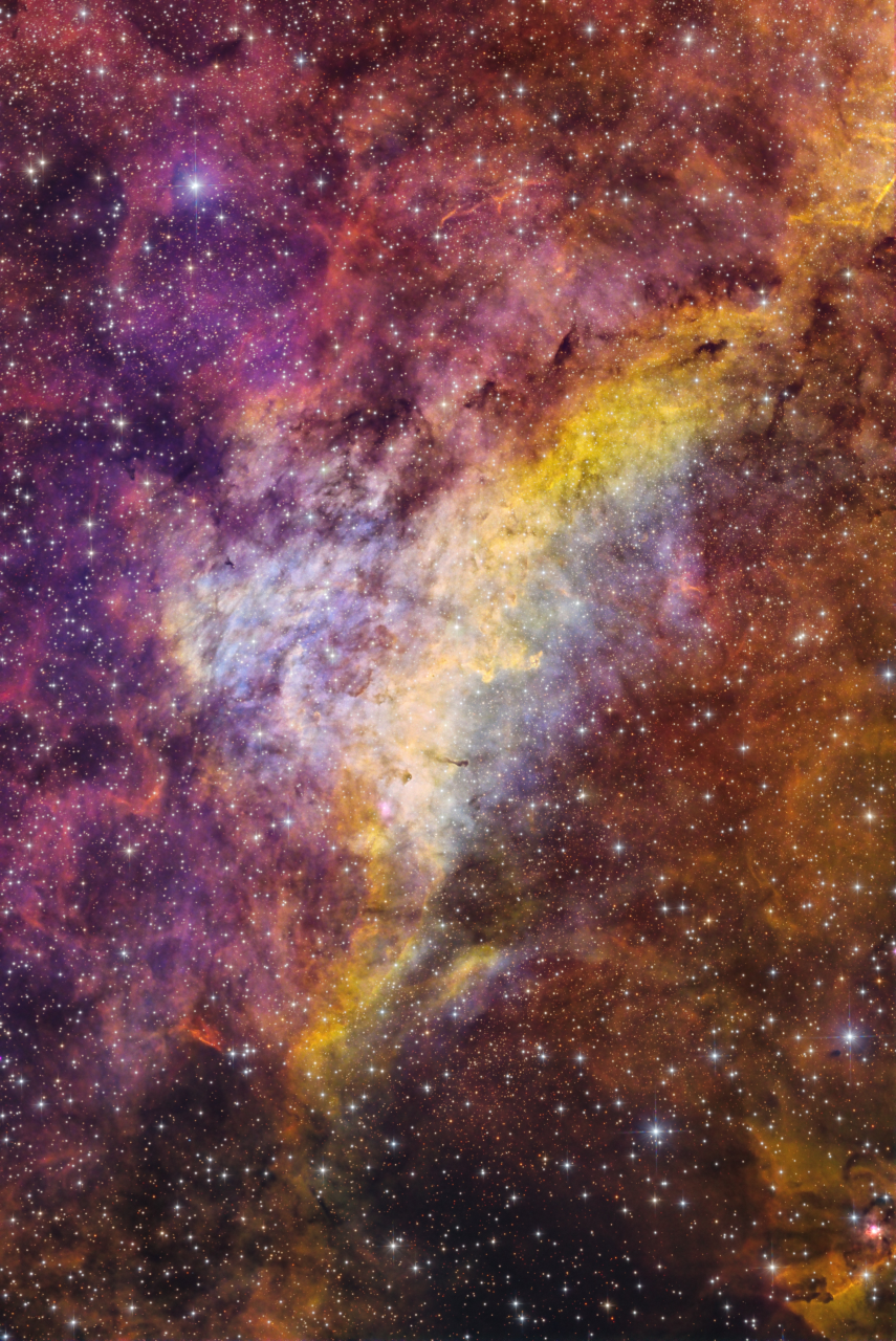Dolphin Nebula in Cygnus SHO Sii3 78x360s Ha 22x360s Oiii 87x360s ESD ToneMap6c AddRGB AddRGBStars Rot180 jpg