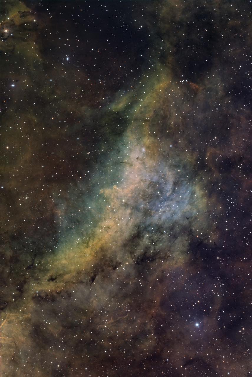 Dolphin Nebula in Cygnus SHOLRGB R 11x180s R 27x720s G 5x180s G 30x720s B 4x180s B 25x720s L 12x180s L 51x360s Tonemap7 ReaddStars jpg