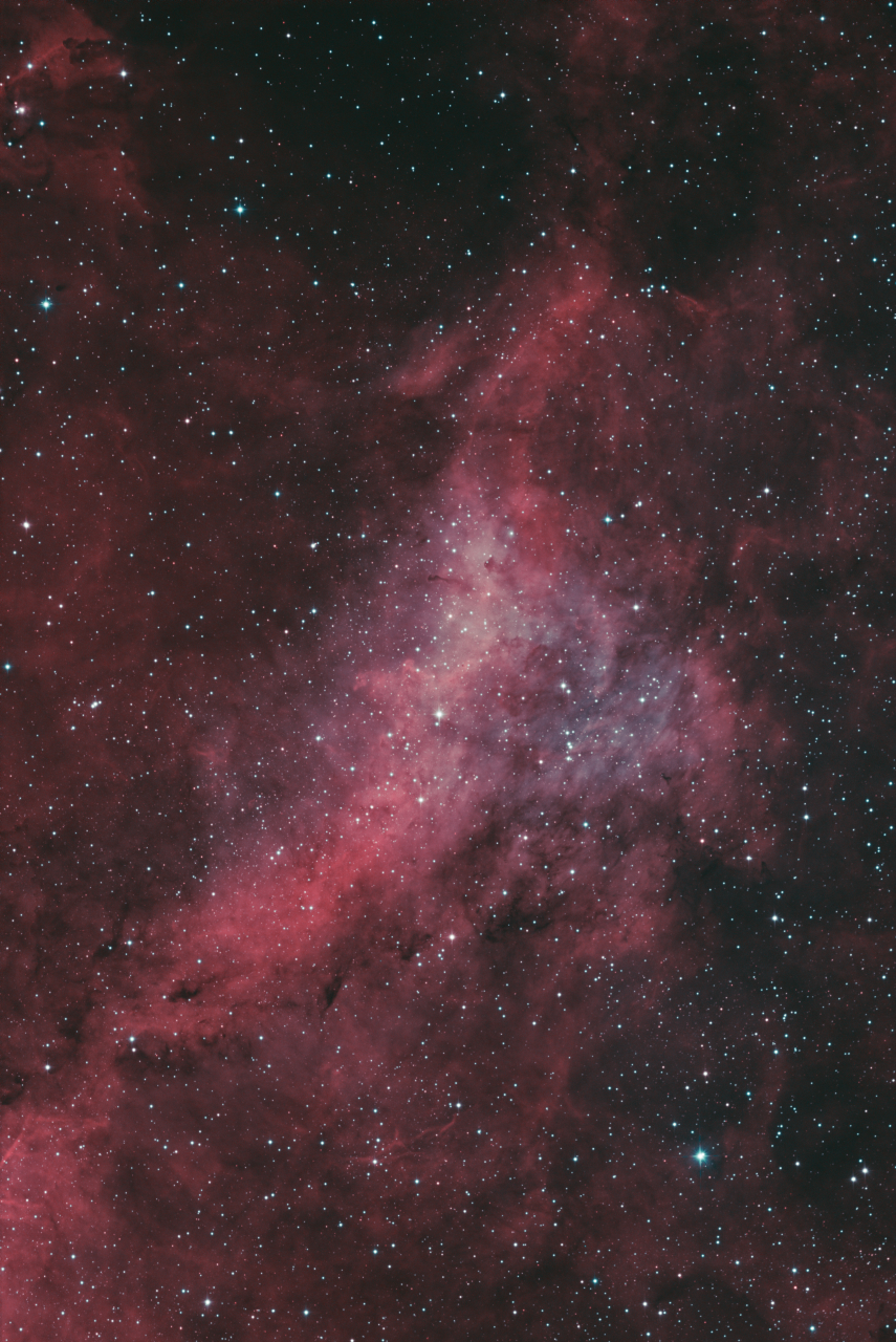 Dolphin Nebula in Cygnus SHOO Sii3 78x360s Ha 22x360s Oiii 87x360s QuickEdit NoAI jpg
