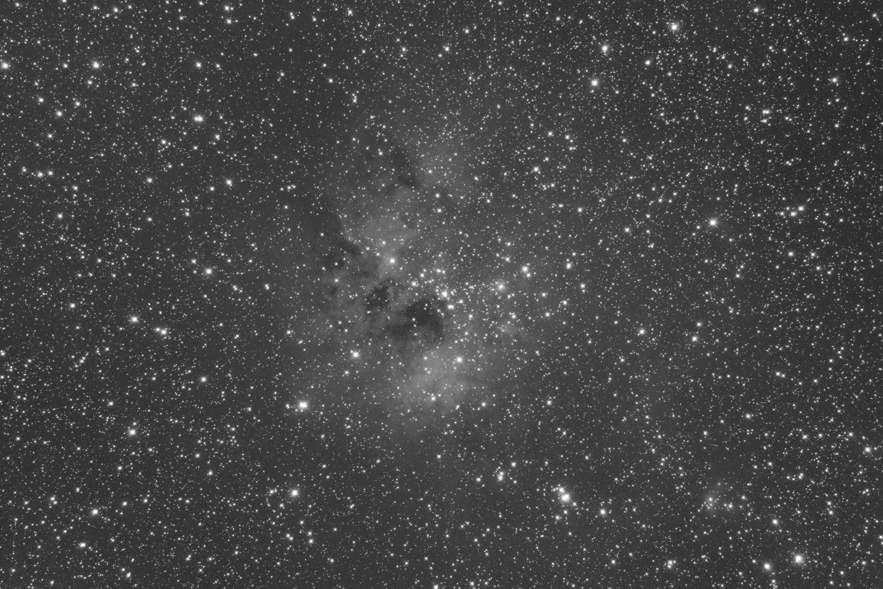 IC410 - Tadpoles - G