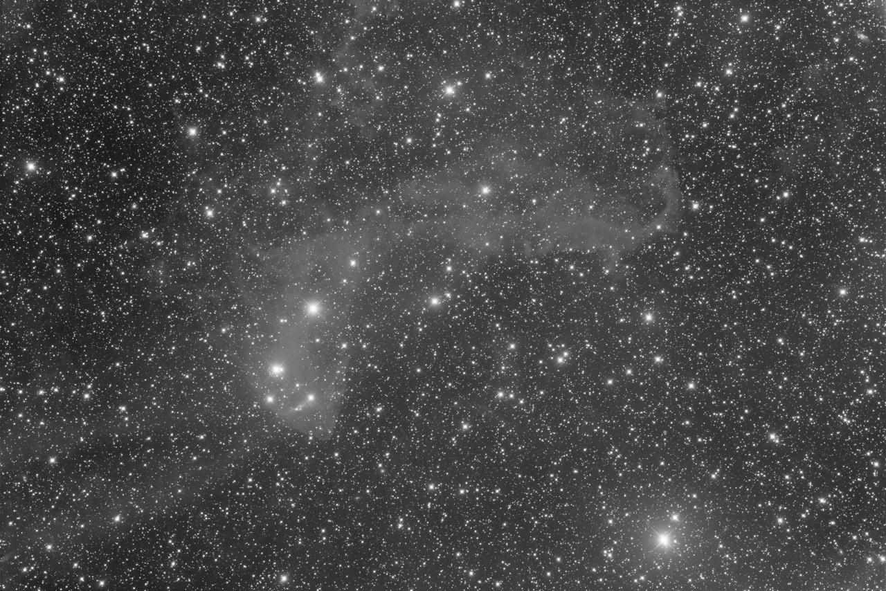 LBN 437 - Gecko Nebula - L
