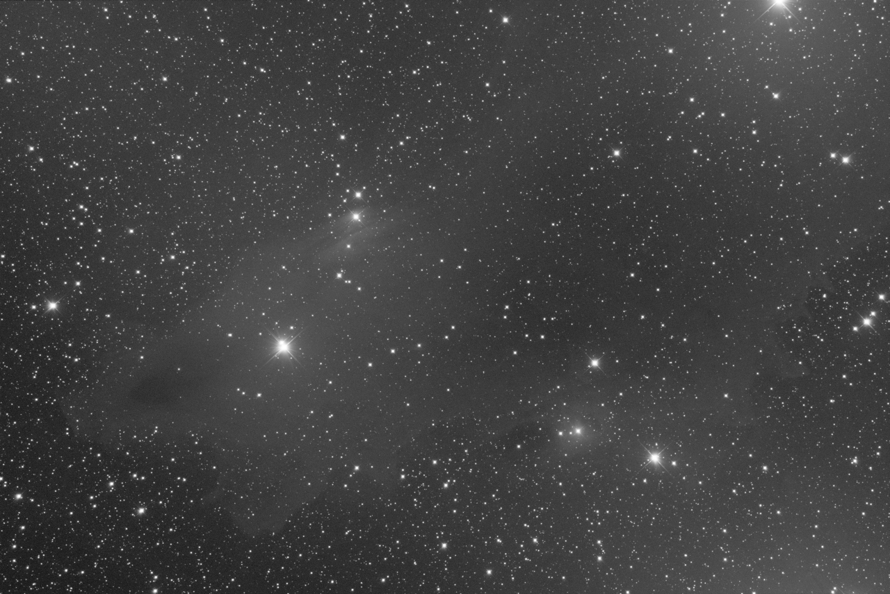 LDN 1235 - Dark Shark Nebula Take 2 - L