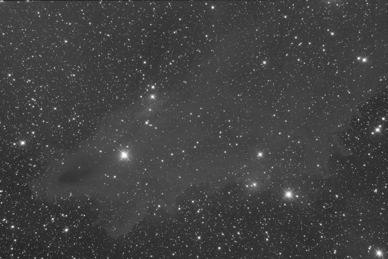 LDN 1235 - Dark Shark Nebula Take 2 - R